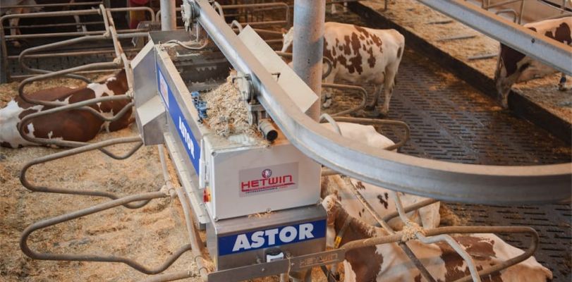 Замена подстилки для коров на ферме с использованием робота для подсыпки Astor от Hetwin.