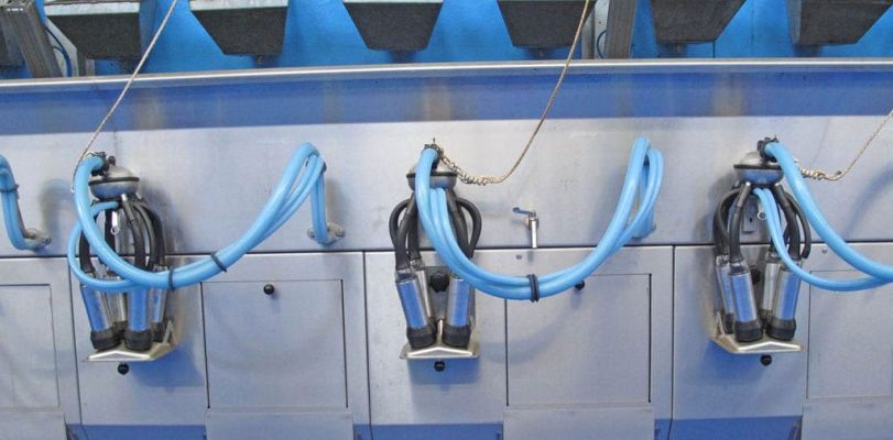 Фото оборудования доильного зала Параллель